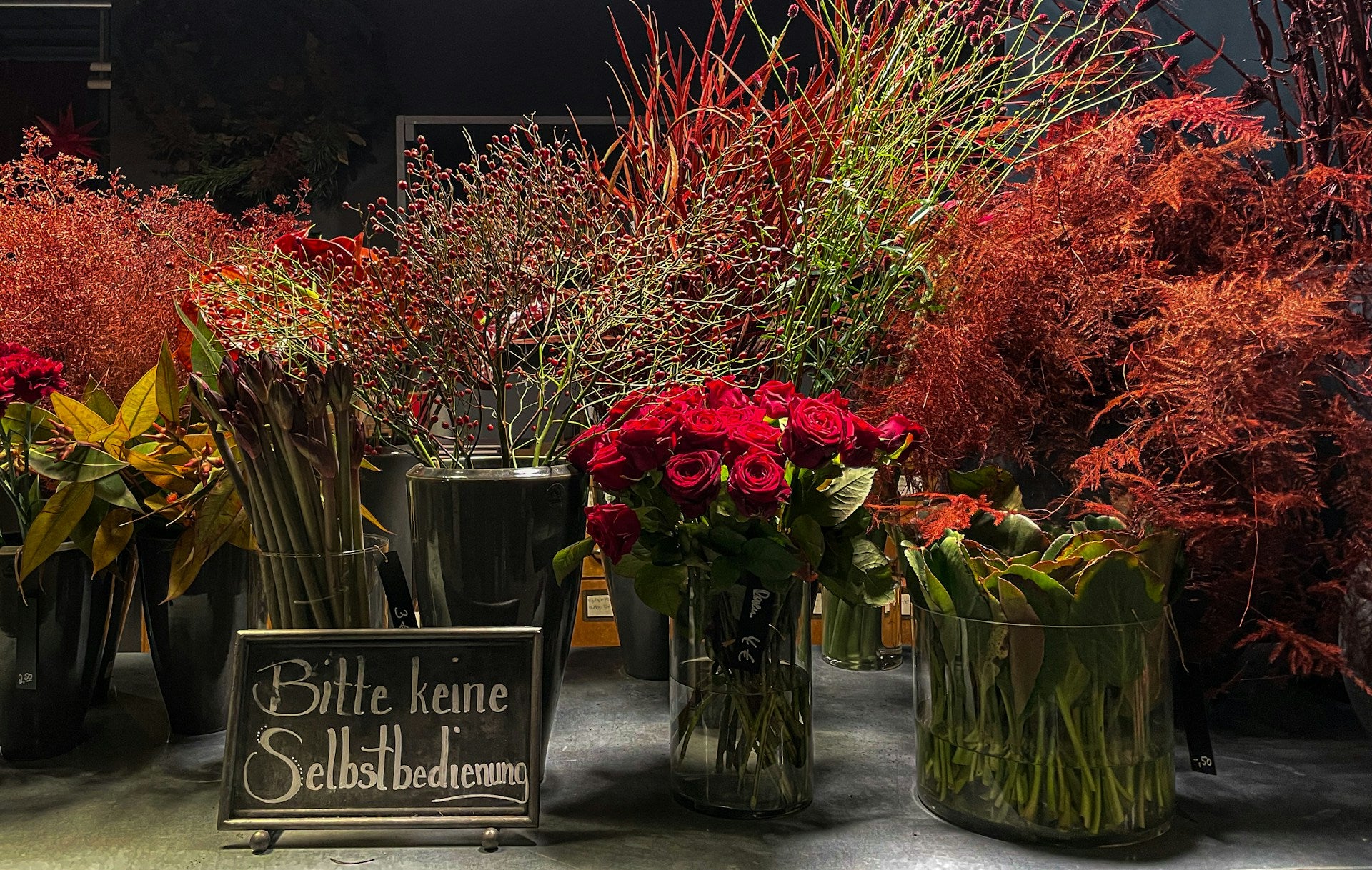 Top 5 Reasons Why Flowers Are Loved By Millions