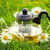 Explore the Surprising Benefits of Floral Therapy