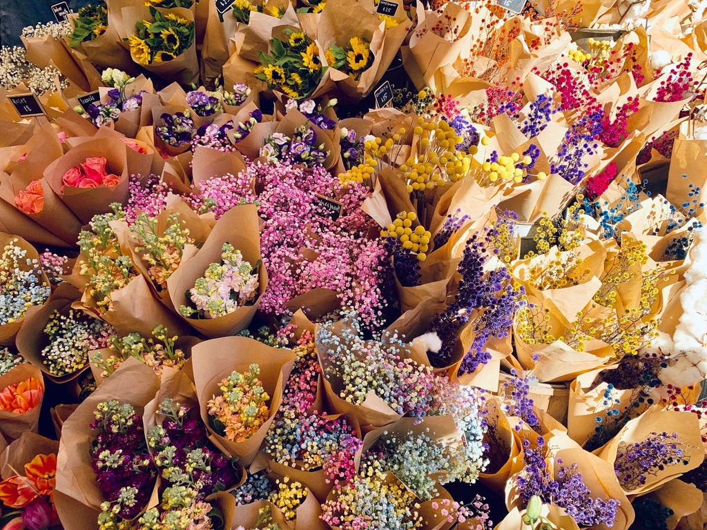 Top 5 Flowers to Gift Your Wife or Girlfriend