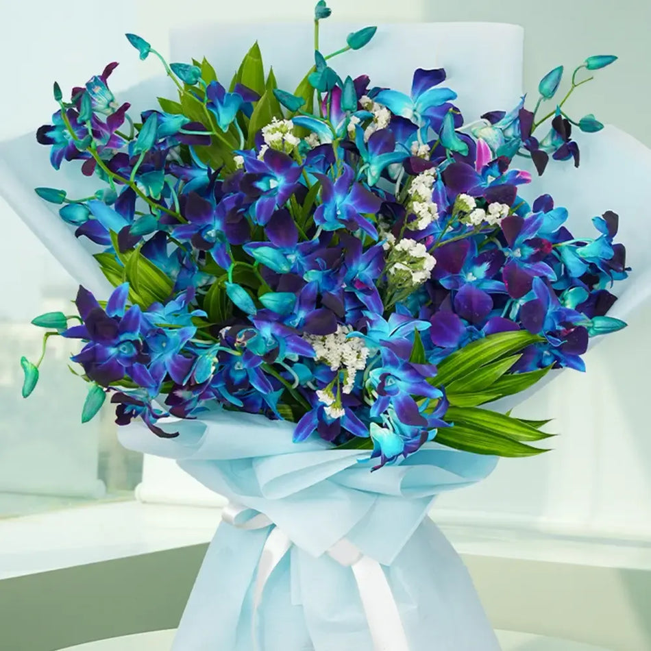 Blue Orchids Splash