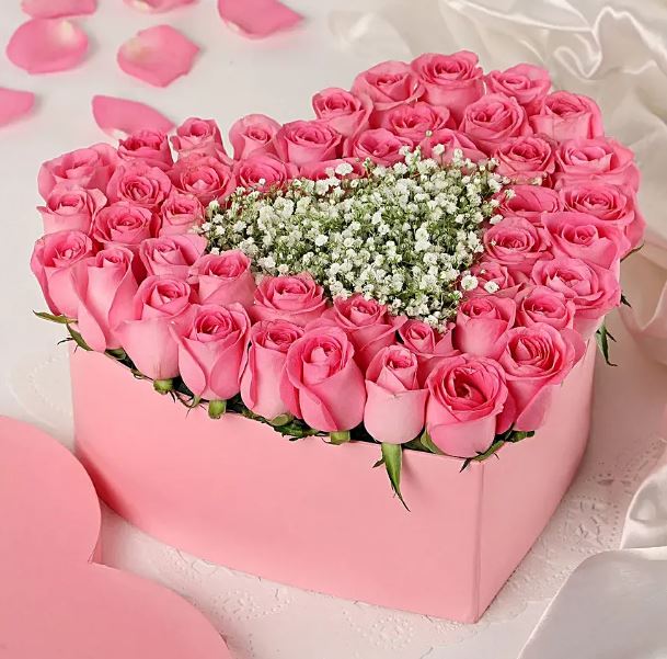 Pink Roses Heart