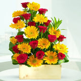 Good Luck Blooms