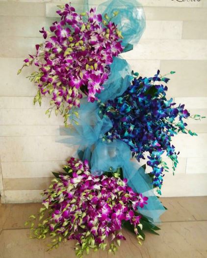 Love Orchids