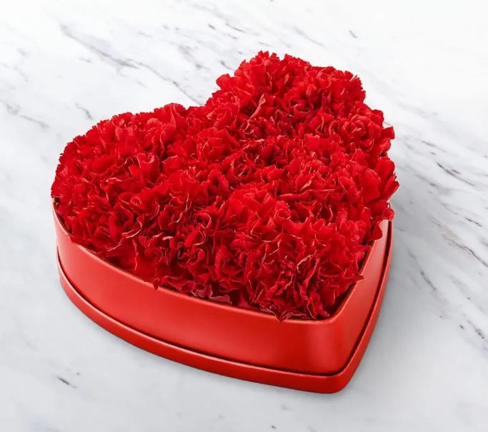 Red Heart Beauty