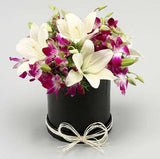 You’re The Light Of My Life