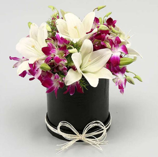 You’re The Light Of My Life