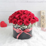 Amazing Beauty Of Roses