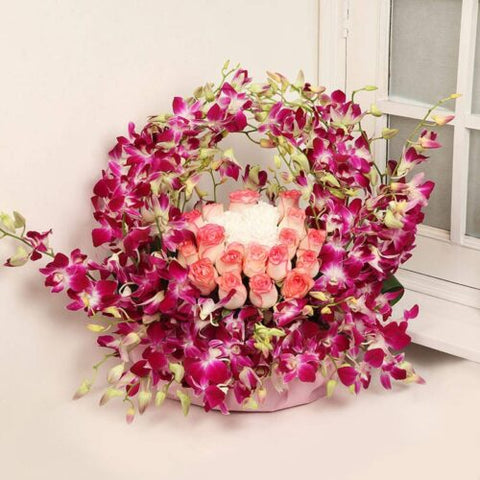 Dreams Orchids