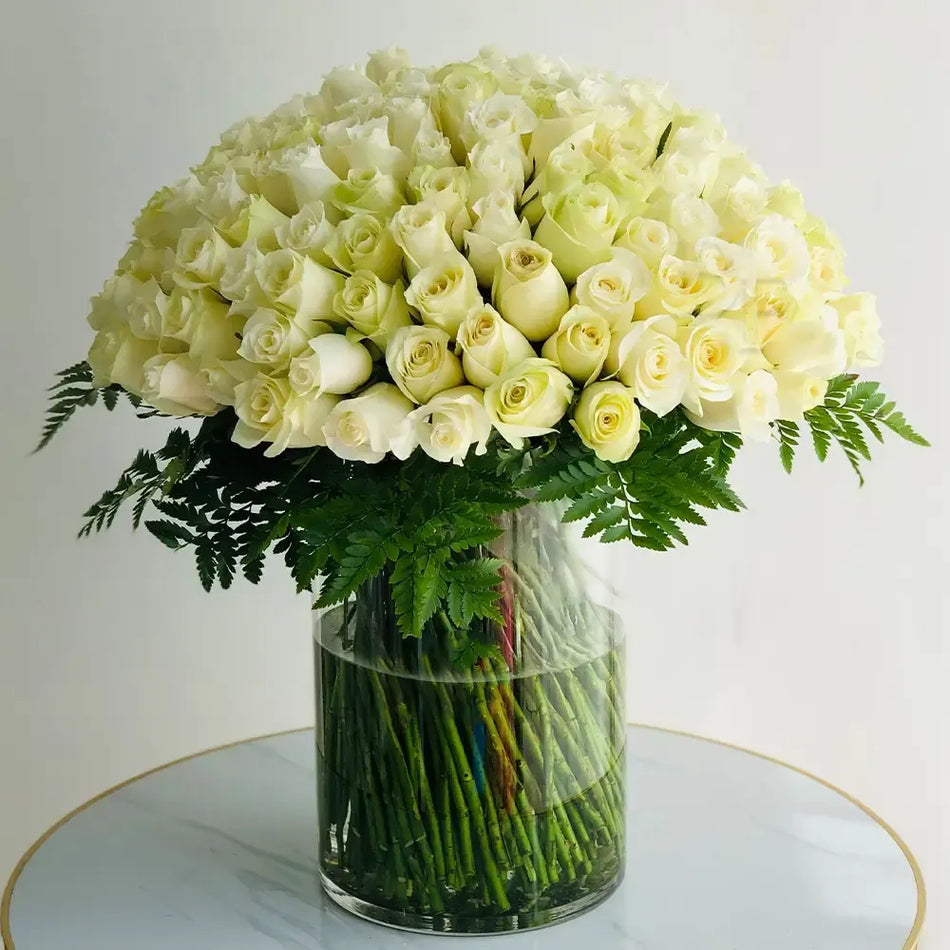 White Mist 100 Roses in a Glass Vase