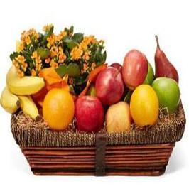 6 KG Long Fresh Fruits Basket