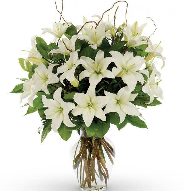Blossoming White– Bloomsy