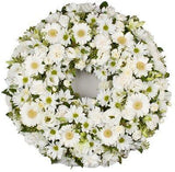 Lovely Tribute
