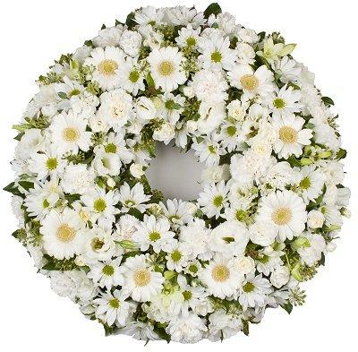 Lovely Tribute