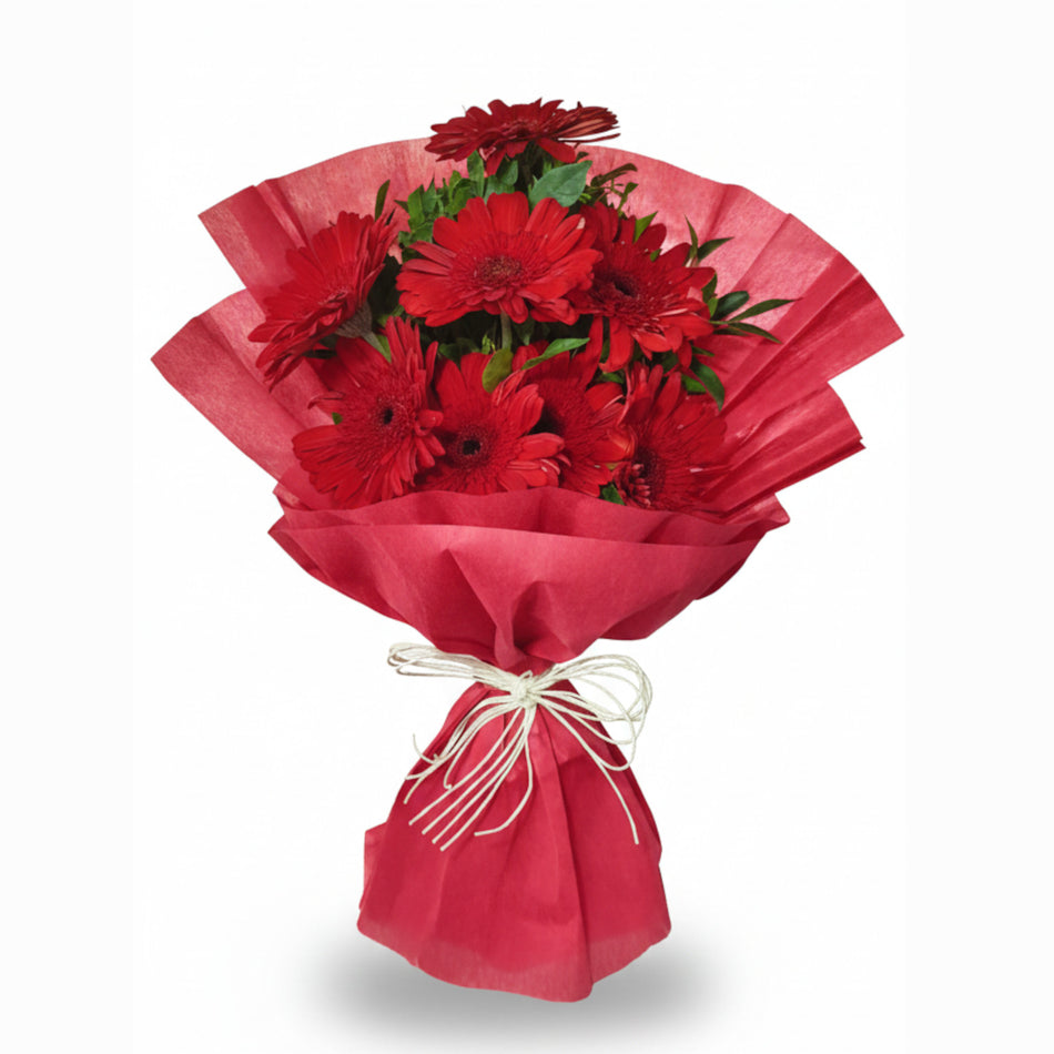 Crimson Gerbera Delight- red gerbera bouquet