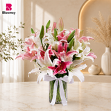 Stargazer Lily Radiance