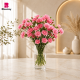 Pink Carnation Grace