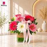 Gerbera Sunshine Glow
