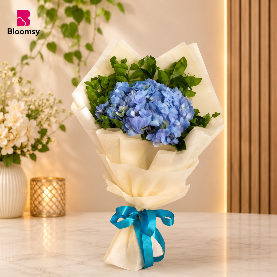 Blue Hydrangea Whisper