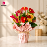 Scarlet Anthurium Delight
