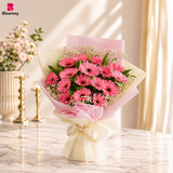 Rosy Gerbera Cheer