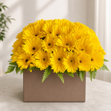 Yellow gerbera Father’s Day floral box arrangement