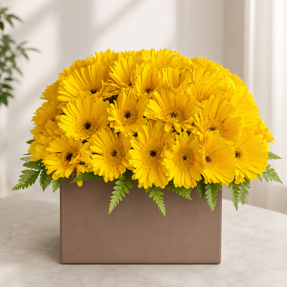 Yellow gerbera Father’s Day floral box arrangement