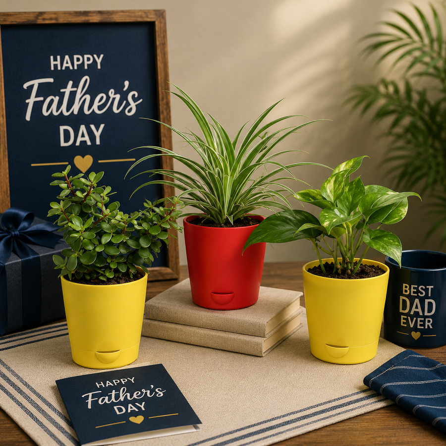 Little Thank You For Dad