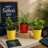 Father’s Day indoor plant gift set with three decorative plants