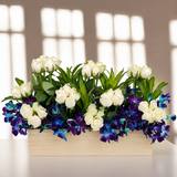 Elegant Father’s Day floral arrangement with white roses and blue orchids in wooden box