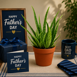 Father’s Day aloe vera plant gift setup with mug, greeting card, and gift box