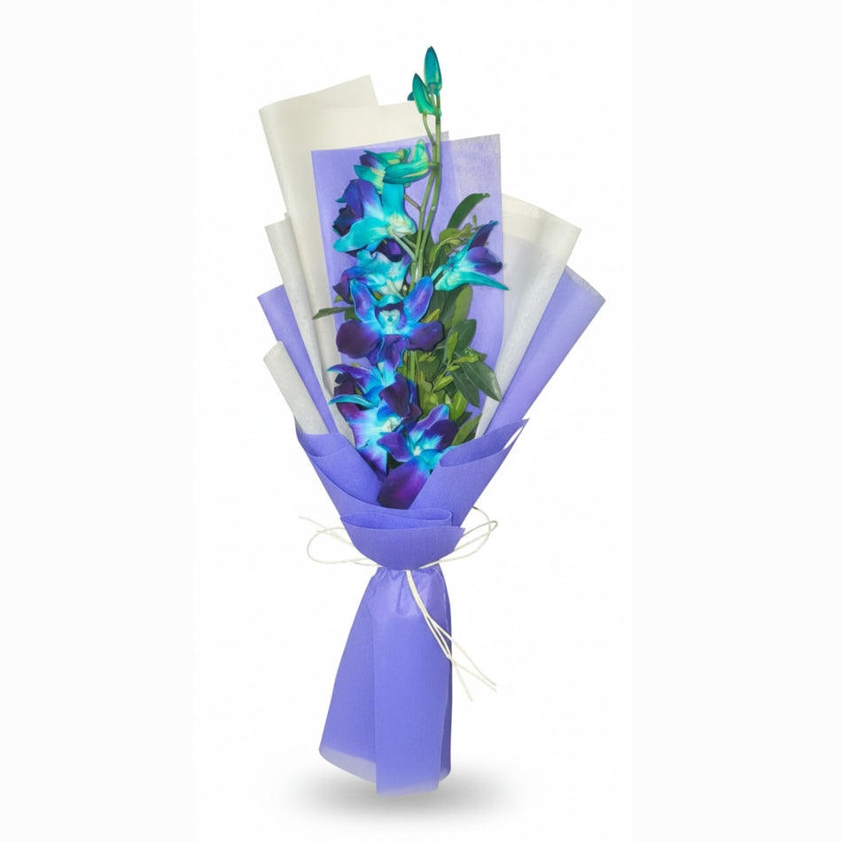 Sapphire Orchids Duo